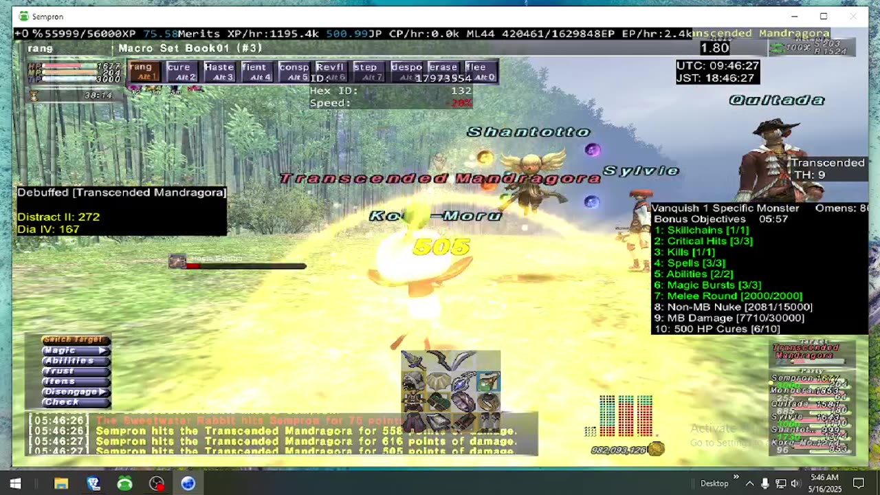 Playing Final Fantasy XI Online