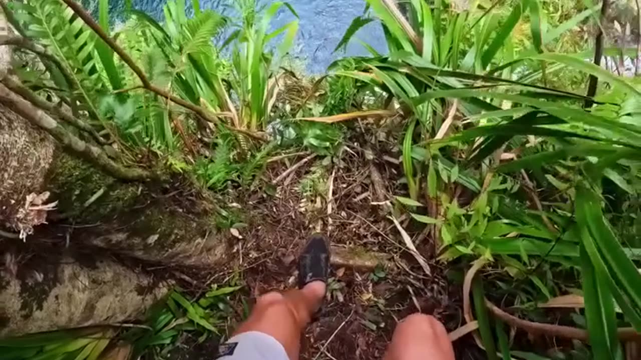Loving this stunning Video!