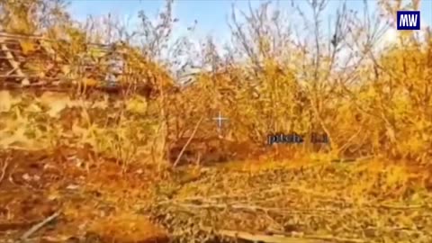 Artillery Strikes Take Out Ukrainian Mortar and Ammo Storage