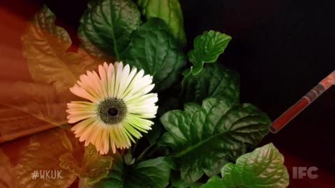 Whitest Kids U'Know 2011 - S05 EP04