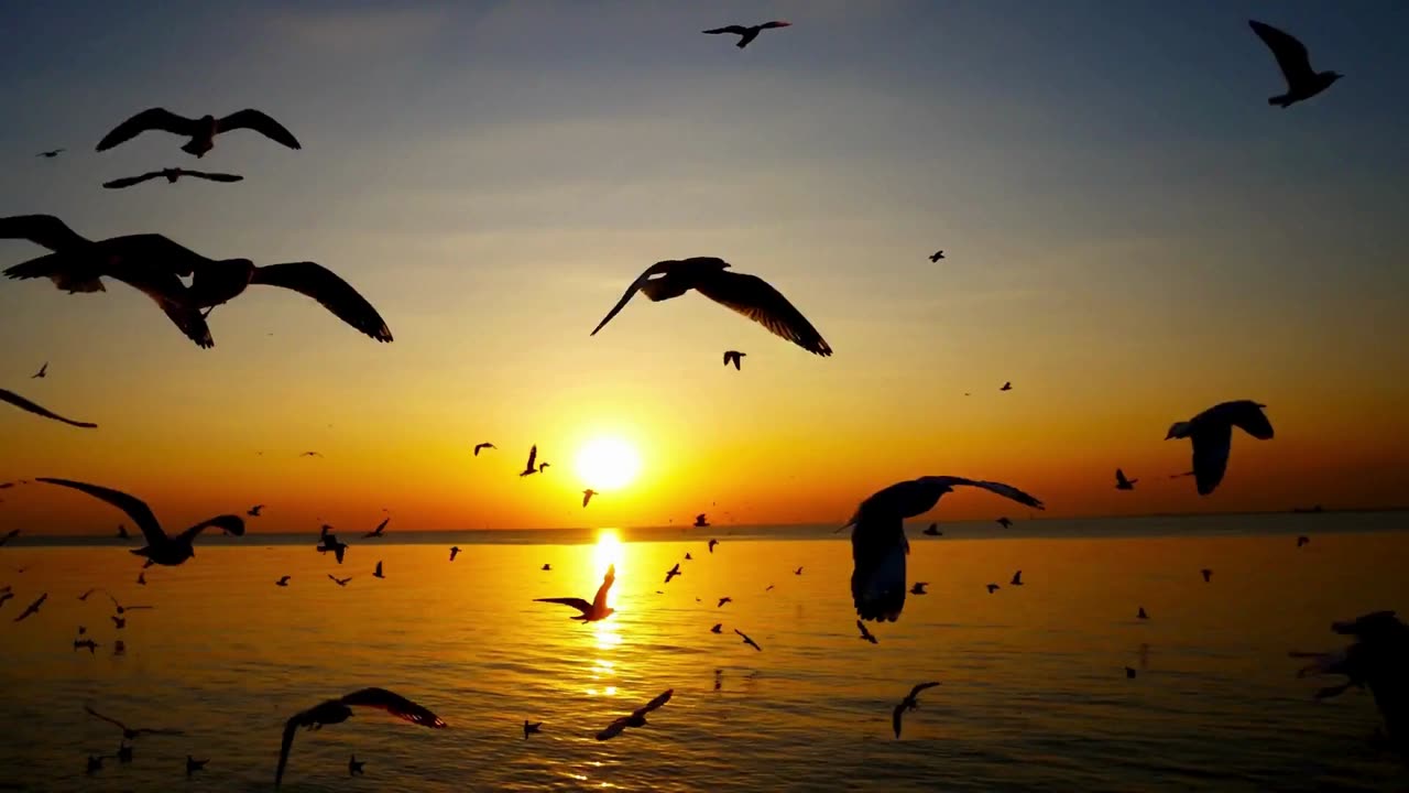 قصة البدوية مع أحد رجال البادية السعودية