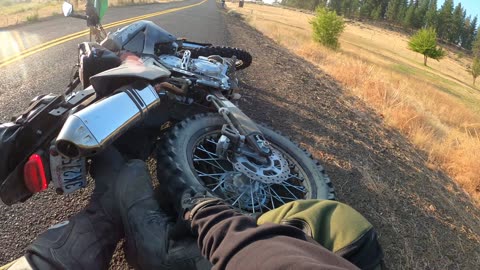 Motorcycle Driver Hits Cougar