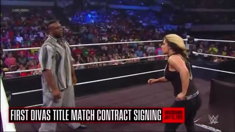 Story of the rise of AJ Lee (2013-14)