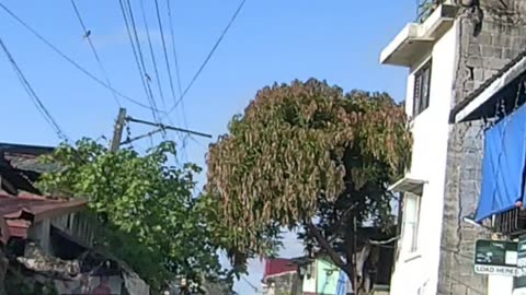 Morning scene on Masikap Street, Calamba, Laguna, Philippines