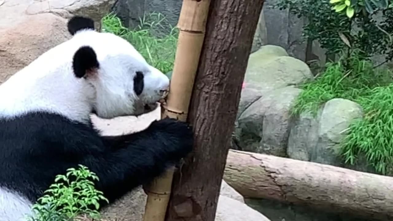 Be Brave and Fearless