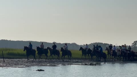 100th Anniversary Chincoteague Pony Swim