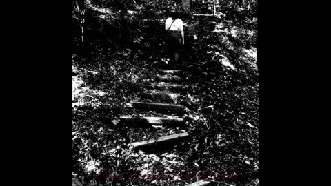 Woll - Textures I: I Have A Fear Of Not Existing (Full EP)