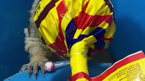 💡👍 Genius Idea for [Problem]! | LifeHacksDaily