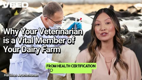 Your Veterinarian:Key to Dairy Farm Success