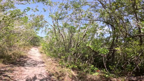 Key Biscayne FOMO