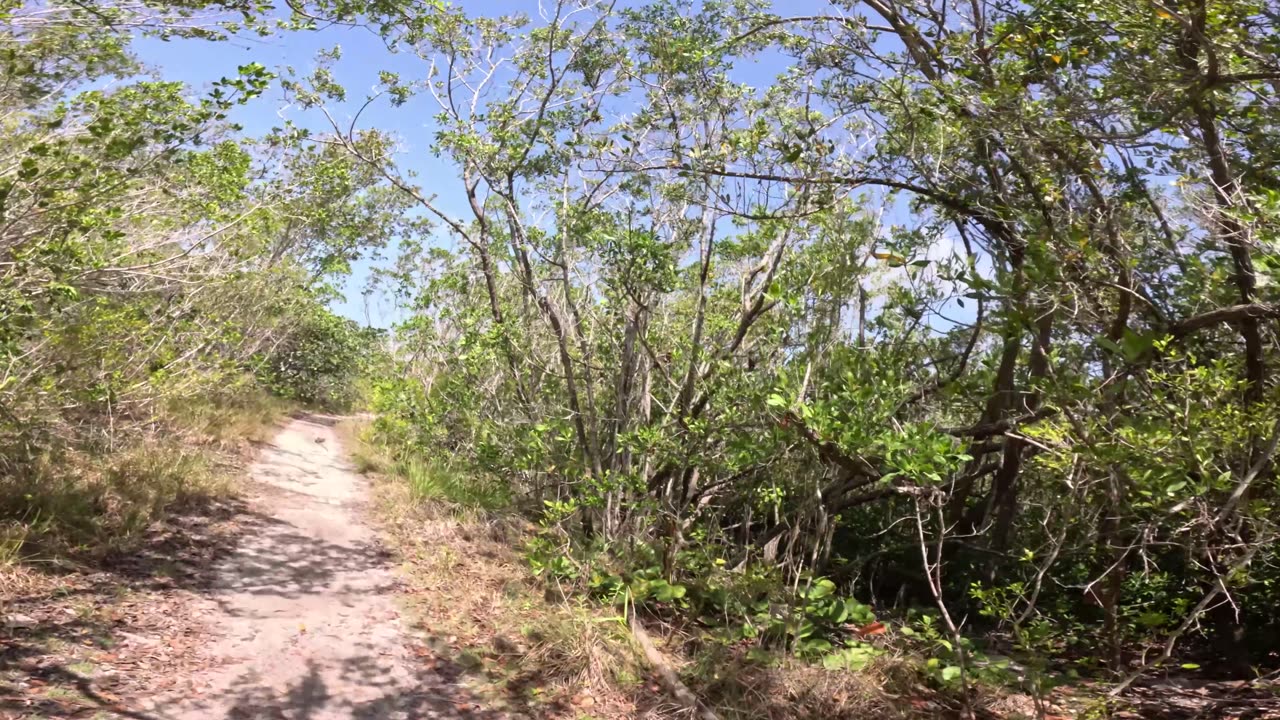 Key Biscayne FOMO