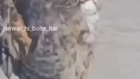 Best crock video 🤣🤣_viralreels _reelschallenge _facebookviral _trending _short(HD)