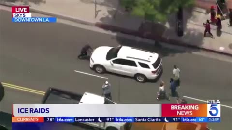 Natural Selection