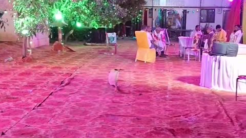 RGBLight decoration||lightdecoration||wedding||homedecorationlight||houselight#sukai_light_house