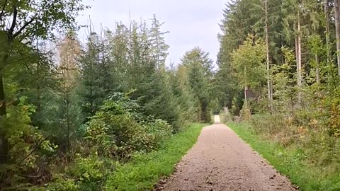 We cannot have a cast/class-based society and, simultaneously, democracy -Part 2