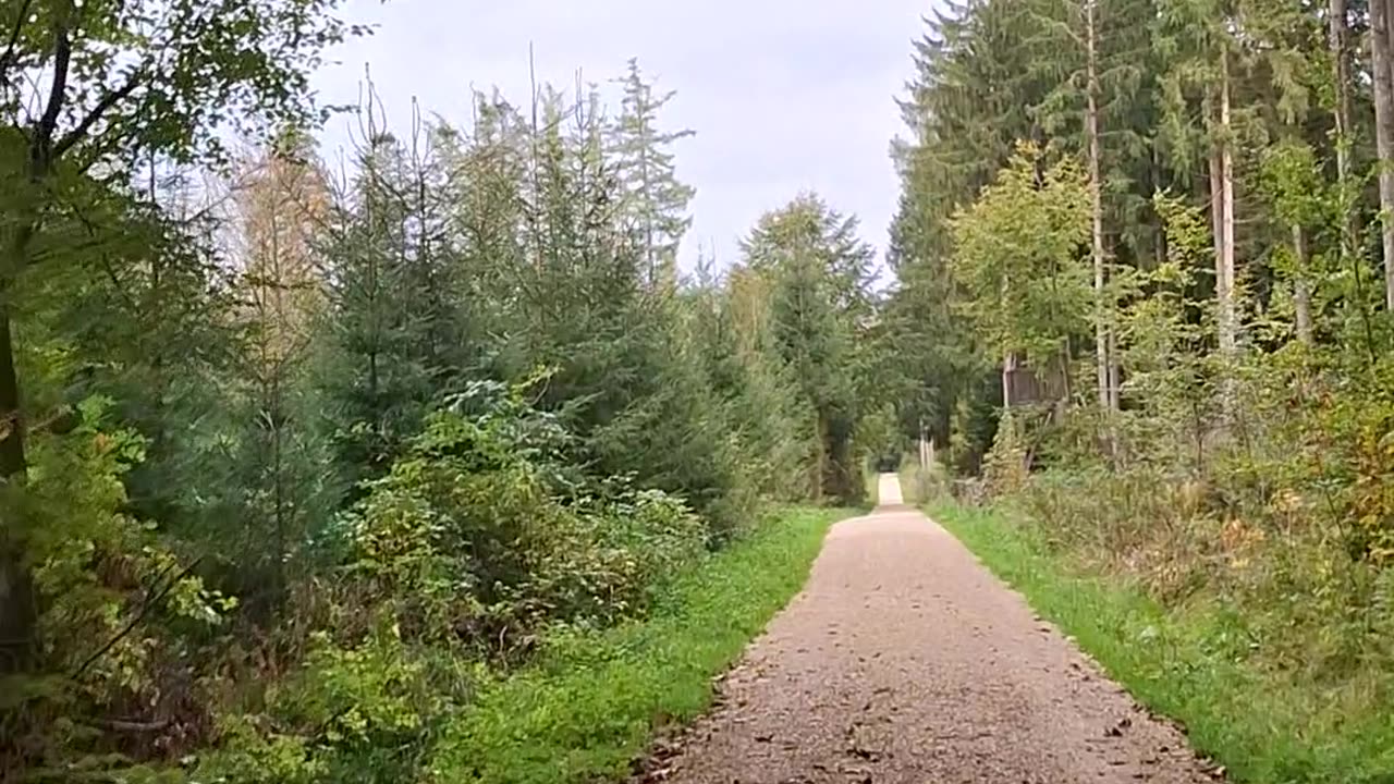 We cannot have a cast/class-based society and, simultaneously, democracy -Part 2