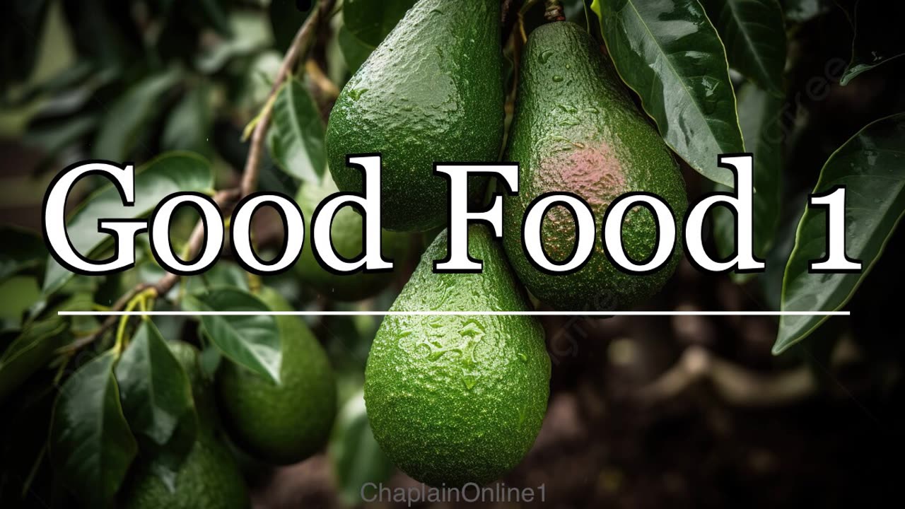 Good Food 1