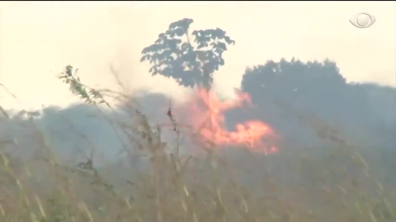 Lembram das QUEIMADAS NA AMAZÔNIA E DA PRESSÃO INTERNACIONAL SOBRE O GOVERNO? O Governo alegava incêndio criminoso.! As ONGs e outros países apontavam falta de políticas na preservação da floresta, querendo sua internacionalização. Agora sabemos: