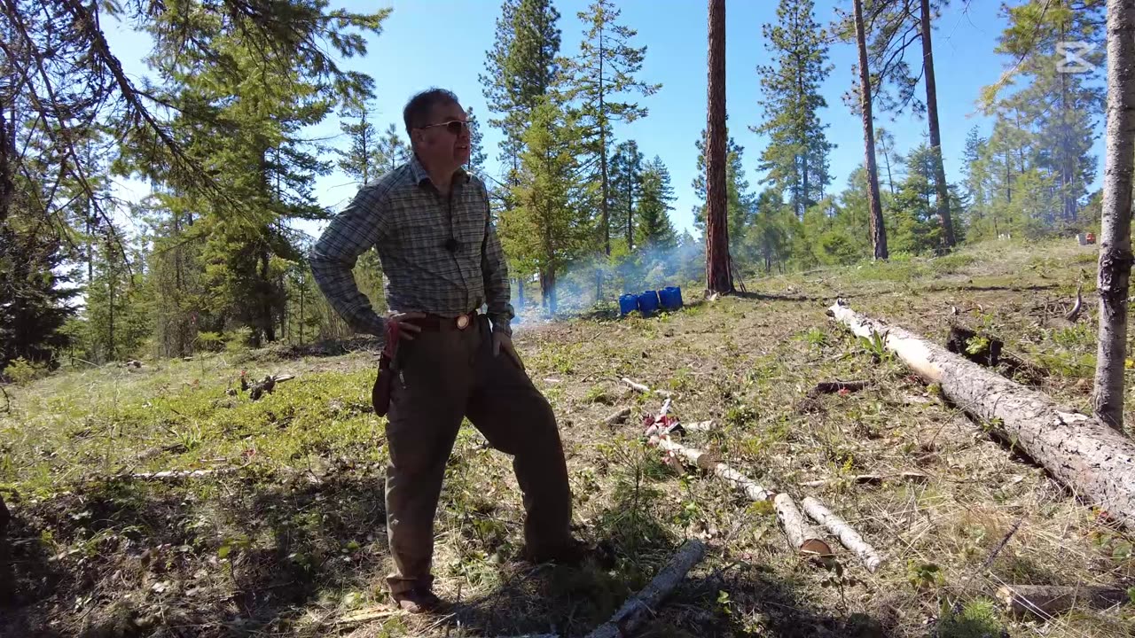 Is burning in the forest bad