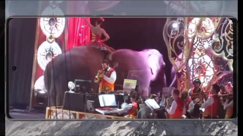 Brothers Circus Cruelty to Elephants ' 3 END
