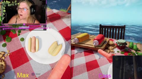 Chicken Live Stream