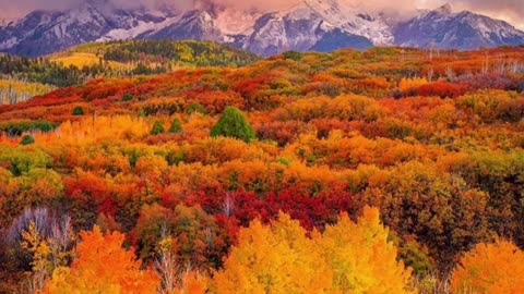 Colourful view