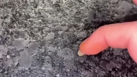 Truth About Blister