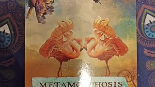 Oracle Card Reading 9/4/25