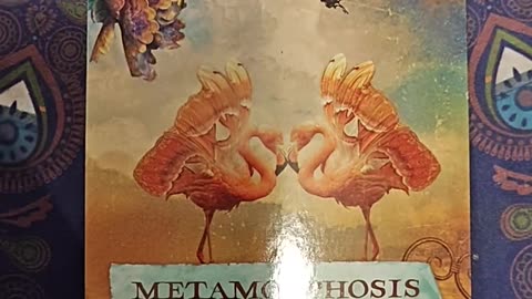 Oracle Card Reading 9/4/25