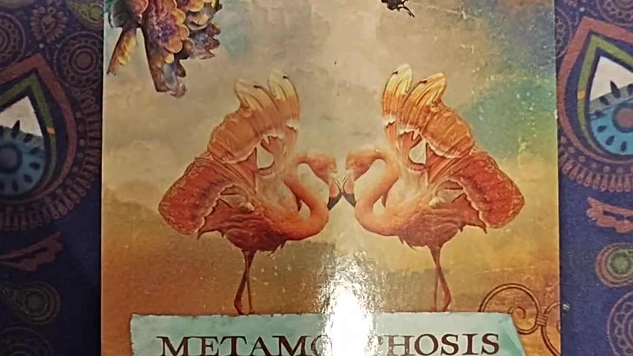 Oracle Card Reading 9/4/25
