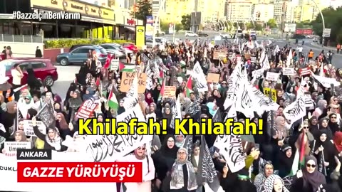 In support and seeking help for Gaza and all of Occupied Palestine