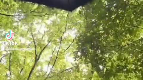 Not going to heaven