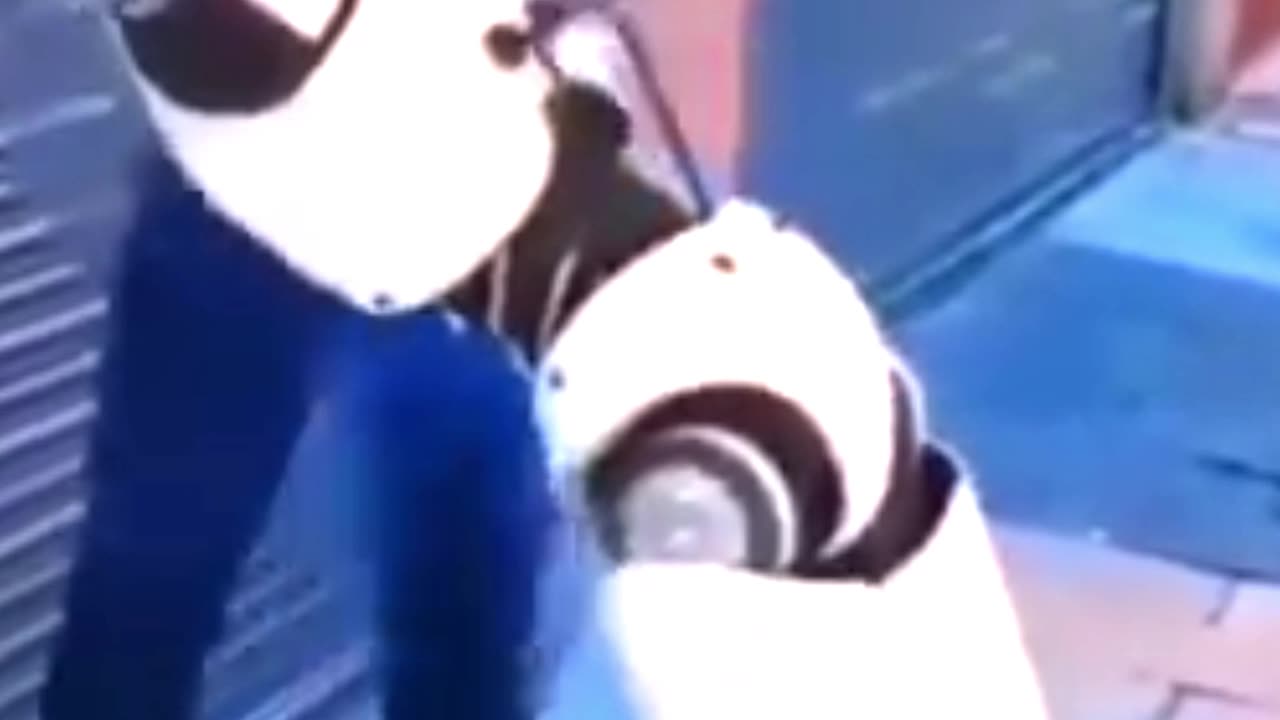 There should be a limit to mischief