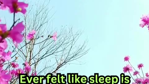 Old Age Sleeplessness Facts#AncientWisdom 📜 #SleepBetter 😴 #OldSchoolTips 🌙 #NapTime 🛏️ #ZenMode 🧘
