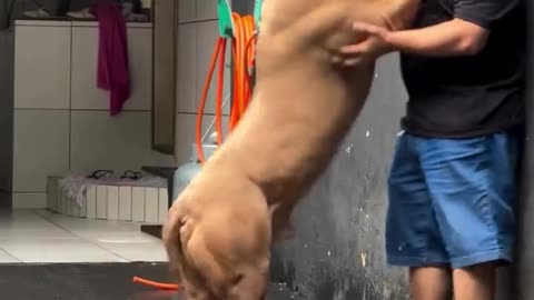look at this big tank