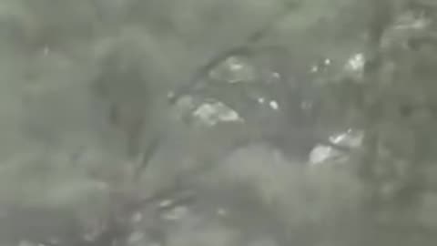 🚨 WATCH: HEROES in helicopters are repelling down to rescue children trapped in the Texas floods