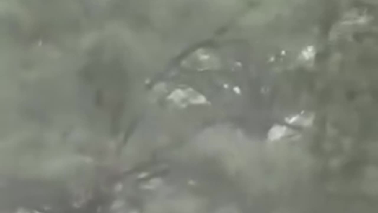 🚨 WATCH: HEROES in helicopters are repelling down to rescue children trapped in the Texas floods