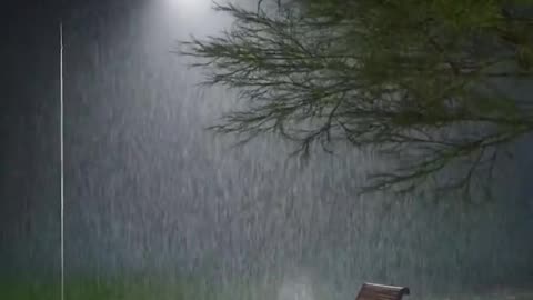 Peaceful Outdoor Views 🌳 Stunning Nature Scenes 🐦🌺 Amazing Nature Views 🍃 #Shorts