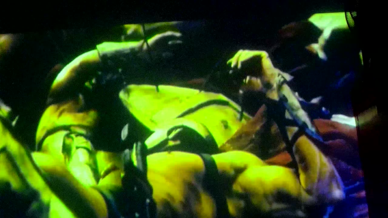 Islamisaatio -taistelu Islamisaatiota vastaan, pitkäkestoinen