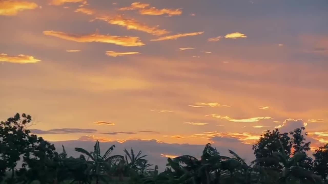 Chasing the Sunset | A Beautiful Evening Vlog"