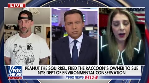 P’Nut the squirrel’s owner calls home raid ‘government overreach’ | It’s terrorism