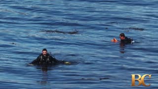 Three bodies recovered and identified after small plane crashes off California’s Central Coast