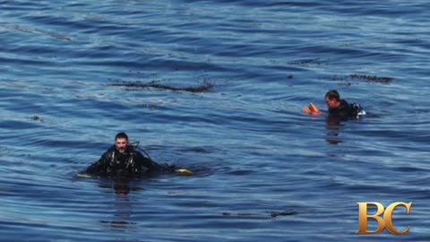 Three bodies recovered and identified after small plane crashes off California’s Central Coast