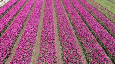 😊 206 NO IMPORTA CUÁN GRANDE SEA TU SUEÑO… 😊