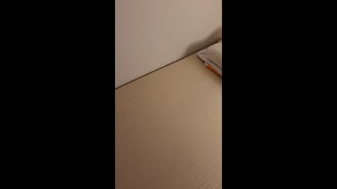 Episode5 - Throwing away old torn sheets