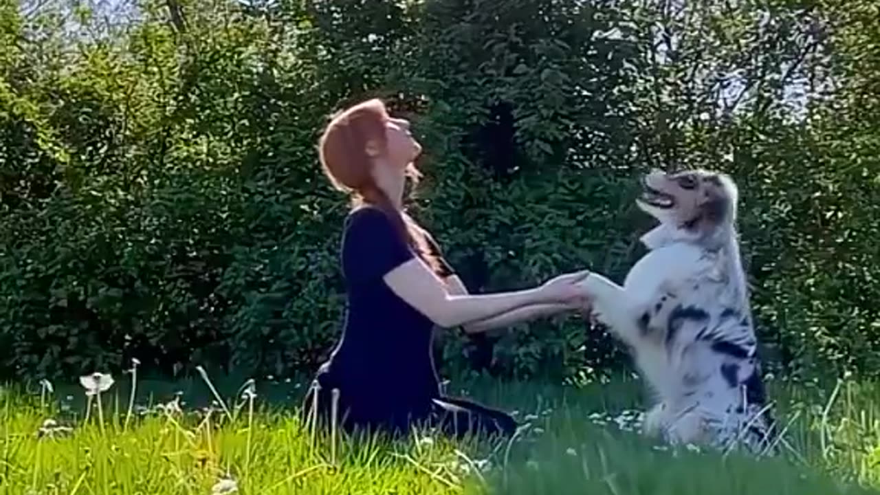 Dogs are a part of our lives.