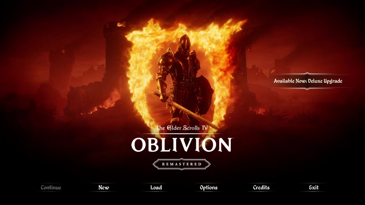 Wizzy The Wizard Roleplay in Oblivion Remaster