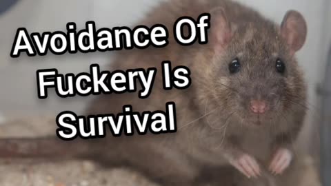 Avoidance Is Survival