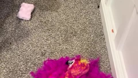 Puppy Doesn't Trust Toy Flamingo