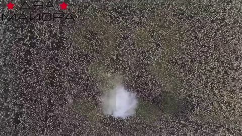 Pig cutter from the Konstantinovsky direction